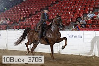 10buck_3706 proof