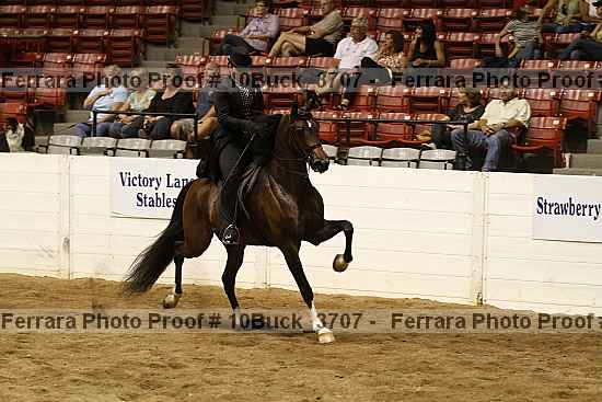 Proof 10buck_3707