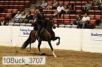 10buck_3707 proof