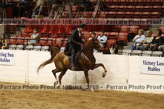Proof 10buck_3708
