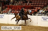 10buck_3708 proof