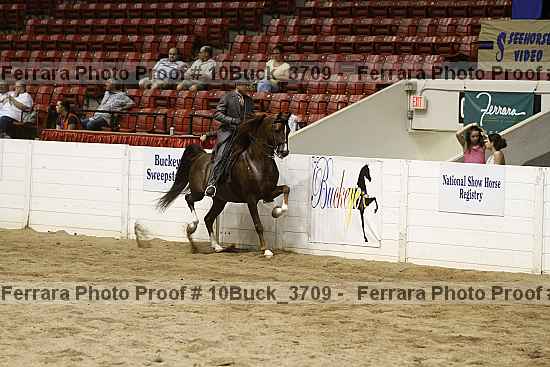 Proof 10buck_3709