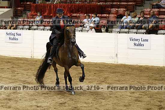 Proof 10buck_3710