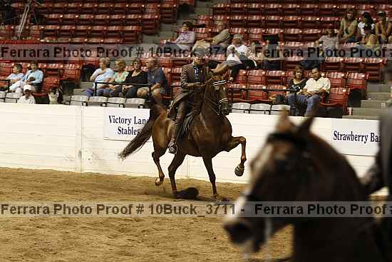 Proof 10buck_3711