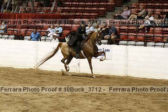 Proof 10buck_3712