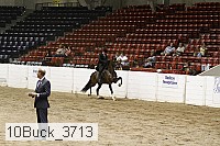 10buck_3713 proof