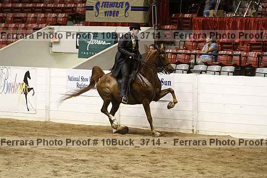 Proof 10buck_3714