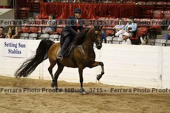 Proof 10buck_3715