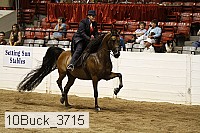 10buck_3715 proof