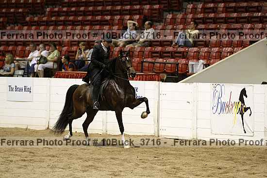 Proof 10buck_3716