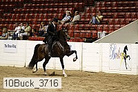 10buck_3716 proof