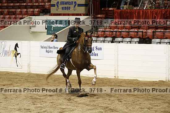 Proof 10buck_3718