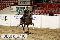 10buck_3718 proof