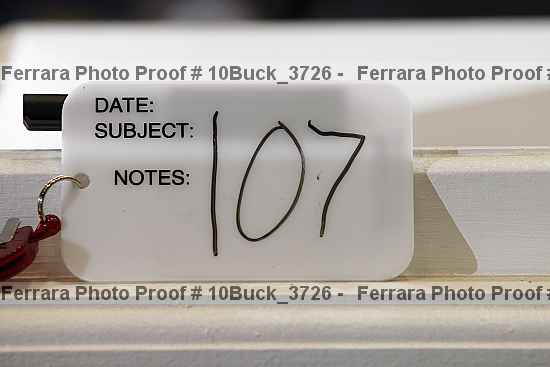 Proof 10buck_3726