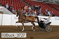 10buck_3727 proof