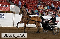 10buck_3728 proof