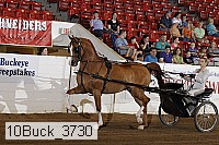 10buck_3730 proof