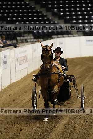 Proof 10buck_3733