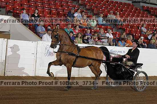 Proof 10buck_3734