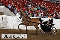 10buck_3734 proof