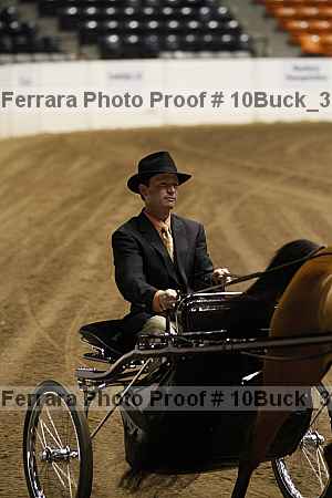 Proof 10buck_3735