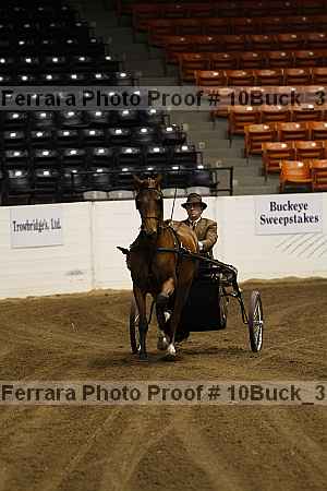 Proof 10buck_3736