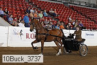 10buck_3737 proof