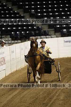 Proof 10buck_3738