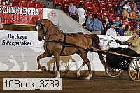 10buck_3739 proof
