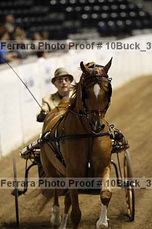 Proof 10buck_3740
