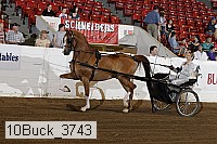 10buck_3743 proof