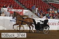 10buck_3744 proof