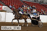 10buck_3746 proof