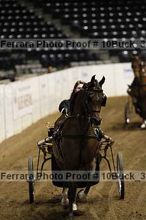 Proof 10buck_3747