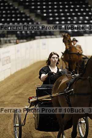 Proof 10buck_3748