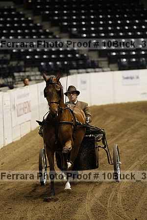 Proof 10buck_3749