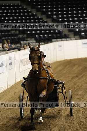 Proof 10buck_3750