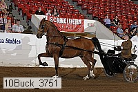 10buck_3751 proof