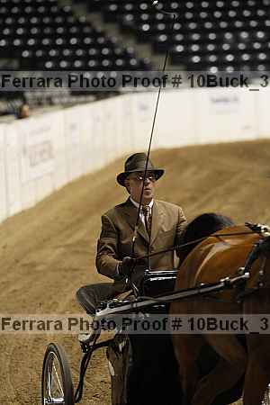Proof 10buck_3752