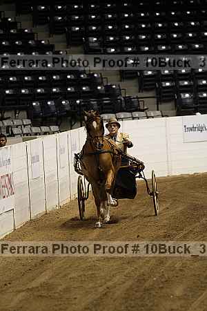 Proof 10buck_3753