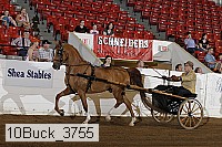 10buck_3755 proof