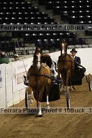 Proof 10buck_3756