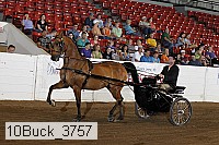 10buck_3757 proof