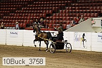 10buck_3758 proof