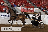 10buck_3759 proof