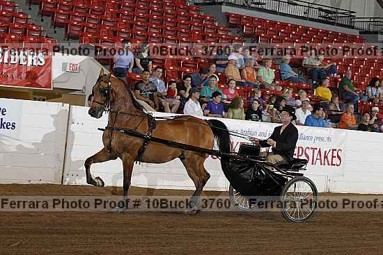Proof 10buck_3760