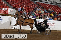10buck_3760 proof