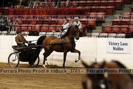 Proof 10buck_3761