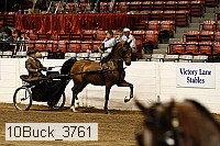 10buck_3761 proof