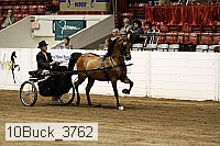 10buck_3762 proof